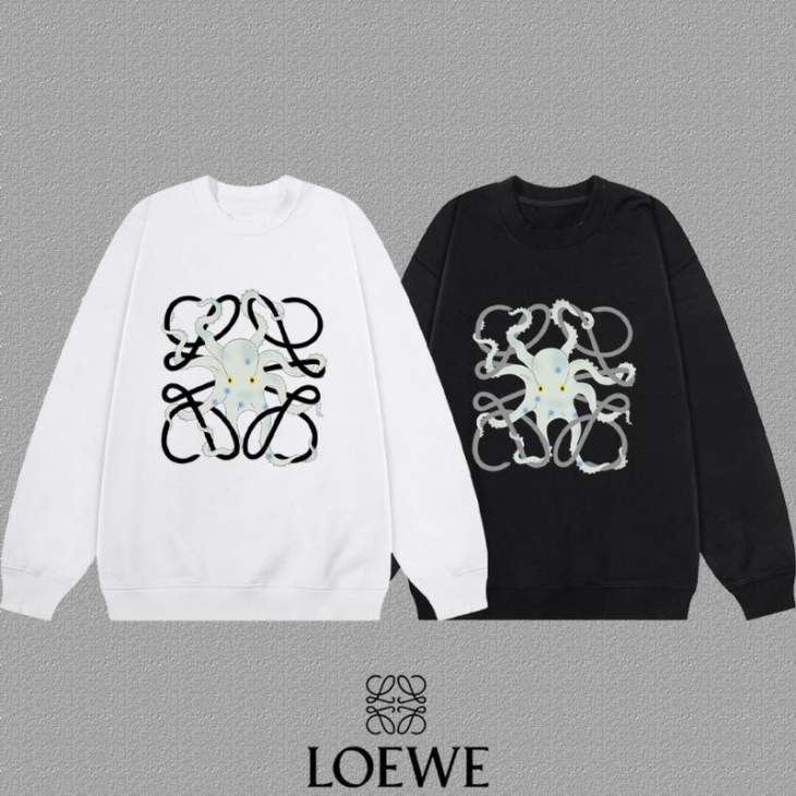 Picture of Loewe  Sweatshirt _SKULoeweS-2XLxetr14333637